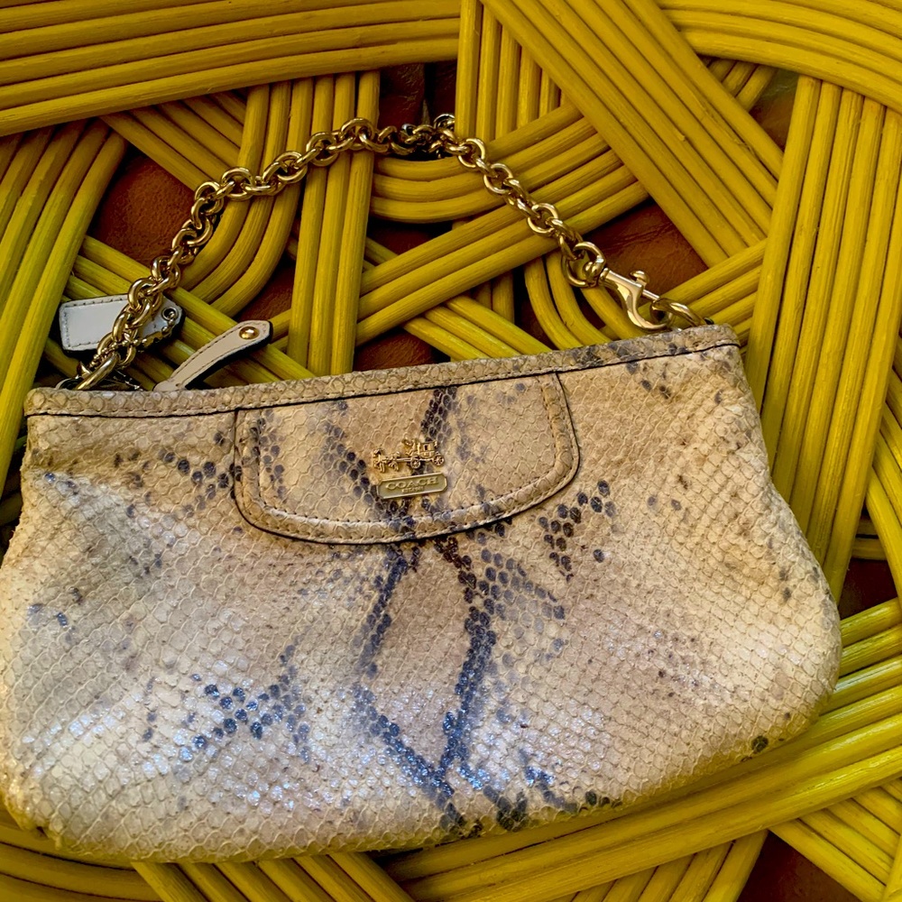 Coach snakeskin wristlet